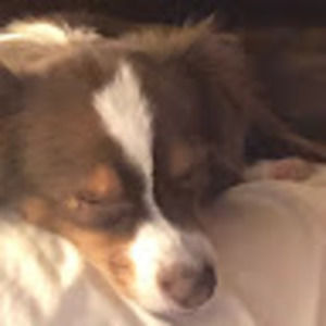 Meet your Posher, Tasha